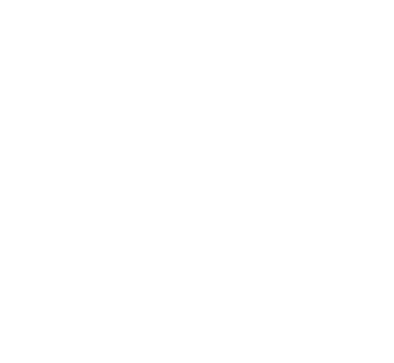 webmühle-white